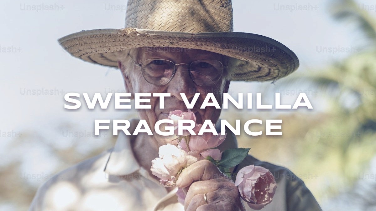sweet vanilla fragrance