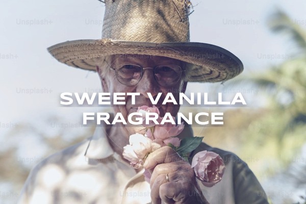 sweet vanilla fragrance