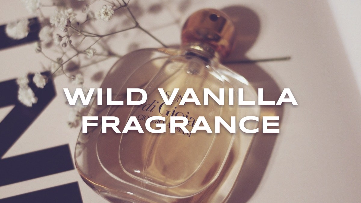 wild vanilla fragrance